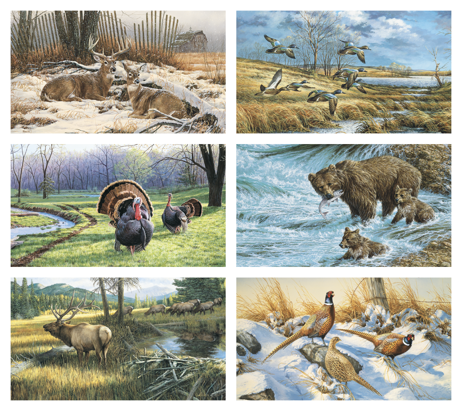 Triumph® Calendars Wildlife Art Calendar 22