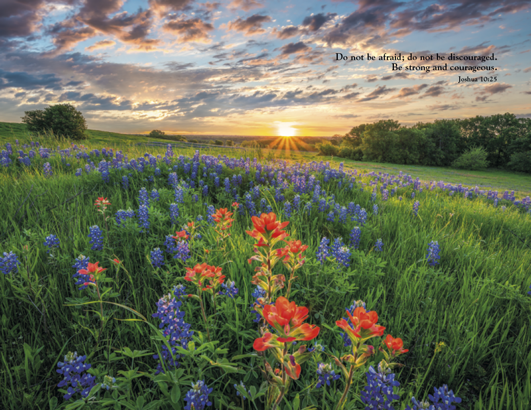 Triumph® Calendars World of Inspiration Calendar 79