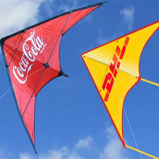 Custom Delta Kite 1