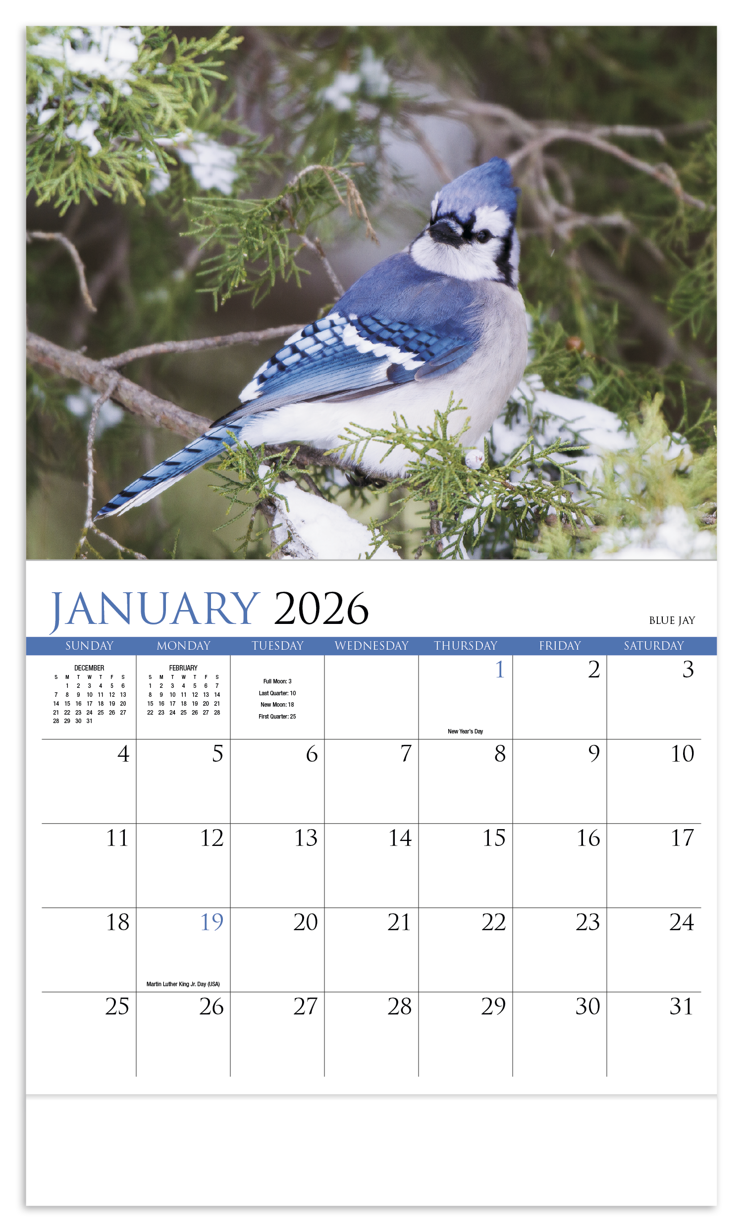 HotLine® Products Songbirds Appointment Calendar - Stapled 23
