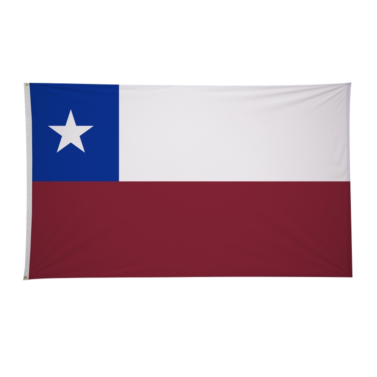 6' x 10' International Flags 33