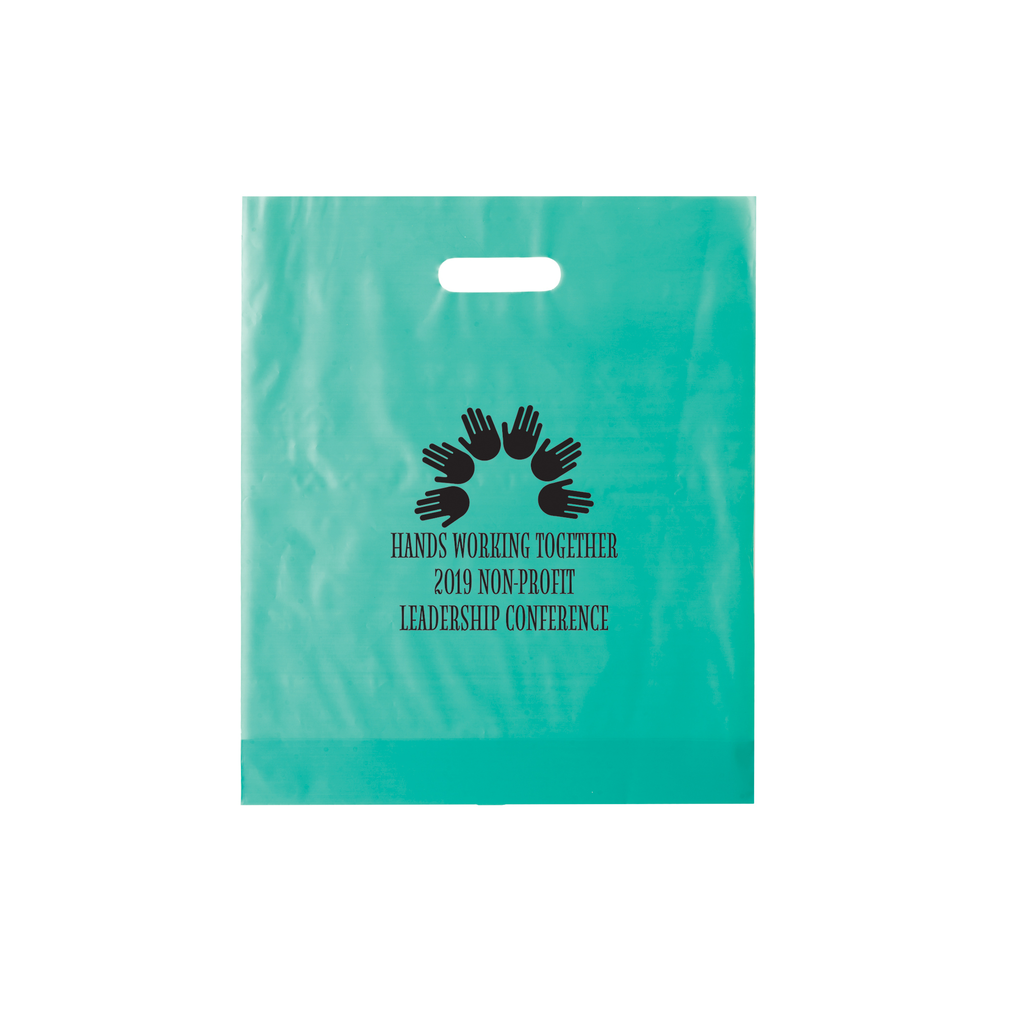 Non Reinforced HDPE Frosted Die Cut Bag 11