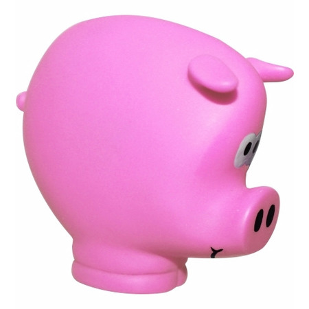 Pocket Piggy Coin Holder 4