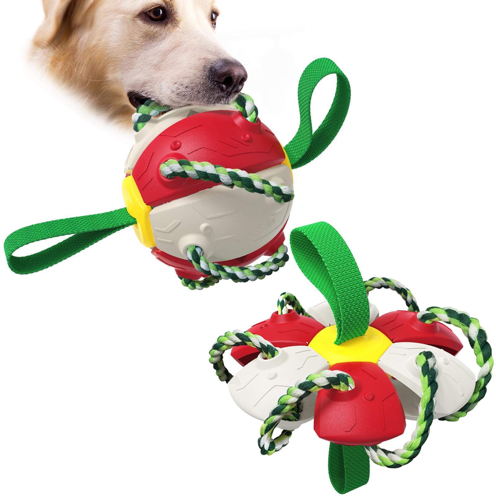 Dog Toy Foldable Flying Disc /Flyer 5