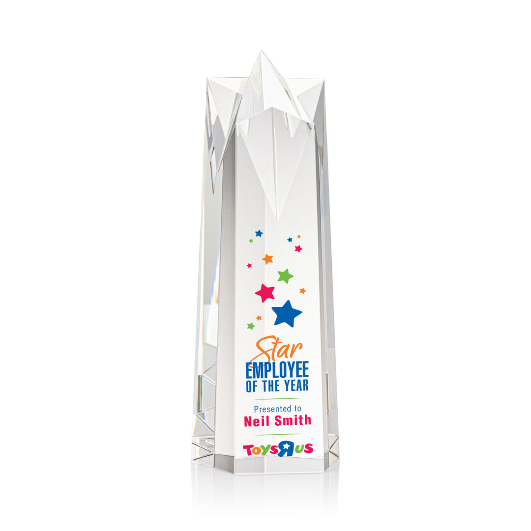 Ellesmere Star VividPrint™ Award 2