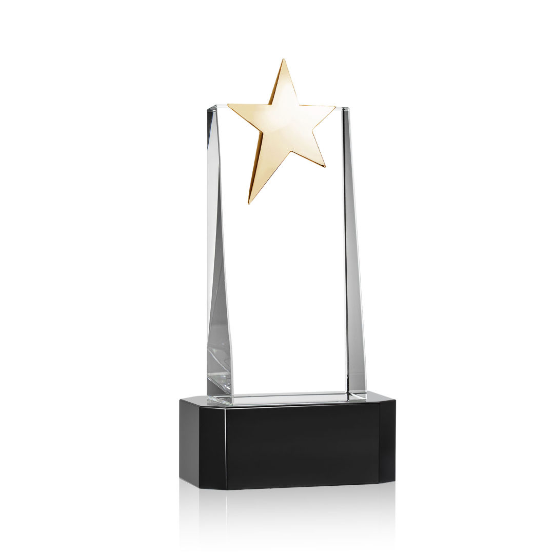 Fanshaw Gold Star VividPrint™ Award on Base - Black 19