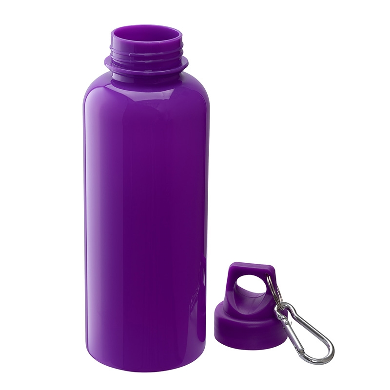 Brio 20 oz. PS Water Bottle w/ Carabiner 6