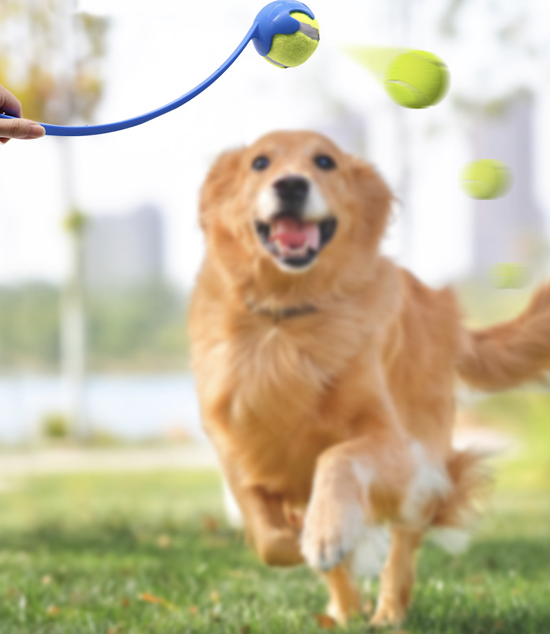 Dog Ball Launcher 10