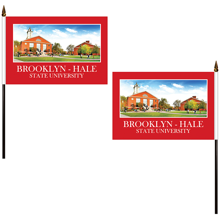 6" x 9" Double Sided Polyester Stick Flag 9