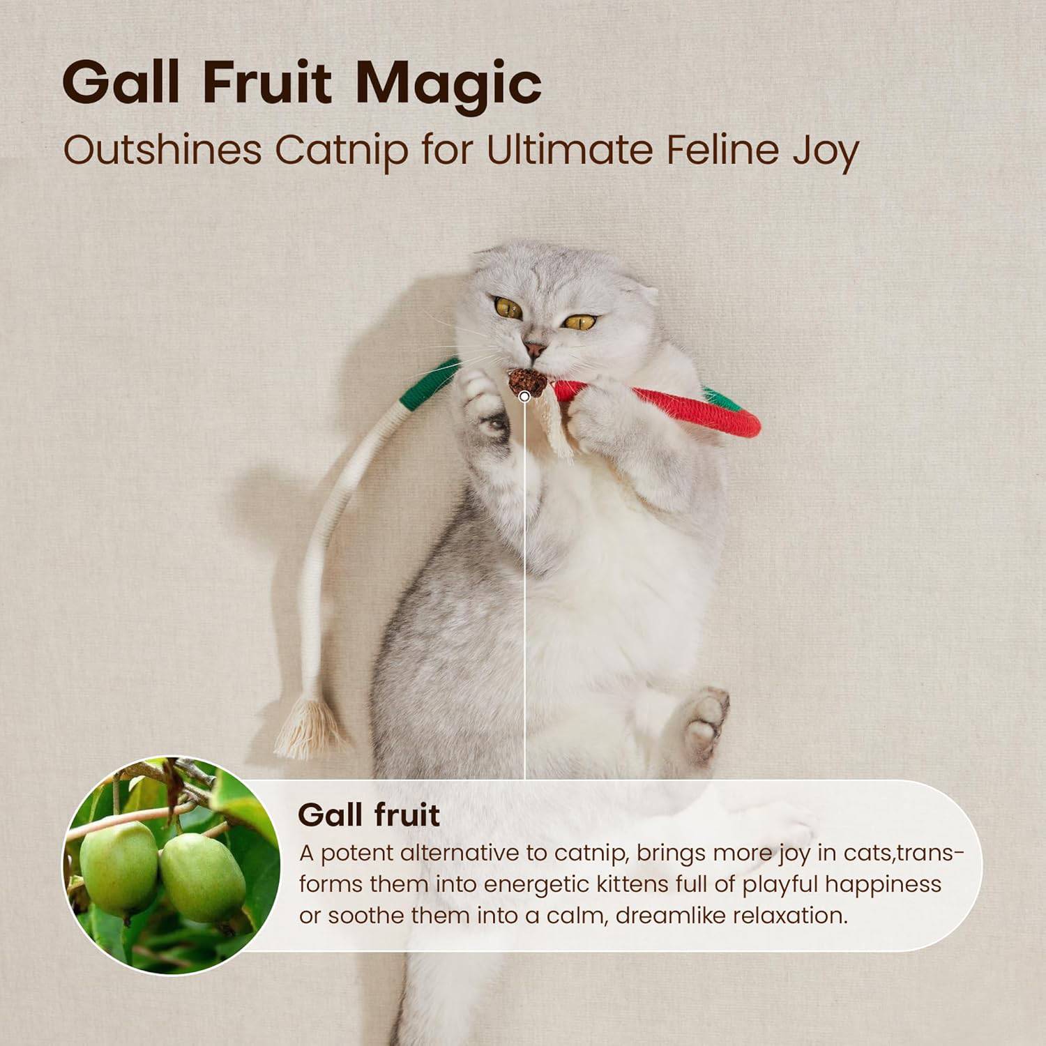 Interactive Fun Teething Rope W/ Natural Catnip 5