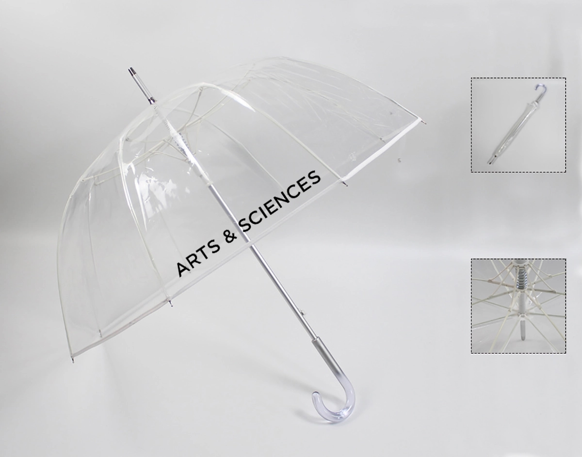 Auto Open Clear Umbrella 1