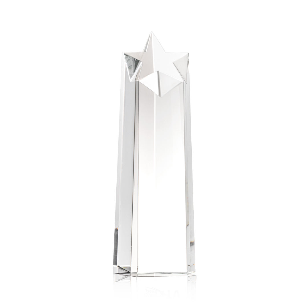 Delaware Star Award - Clear 3