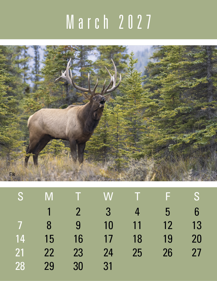 Triumph® Calendars Press-N-Stick Sportsmen Calendar 948