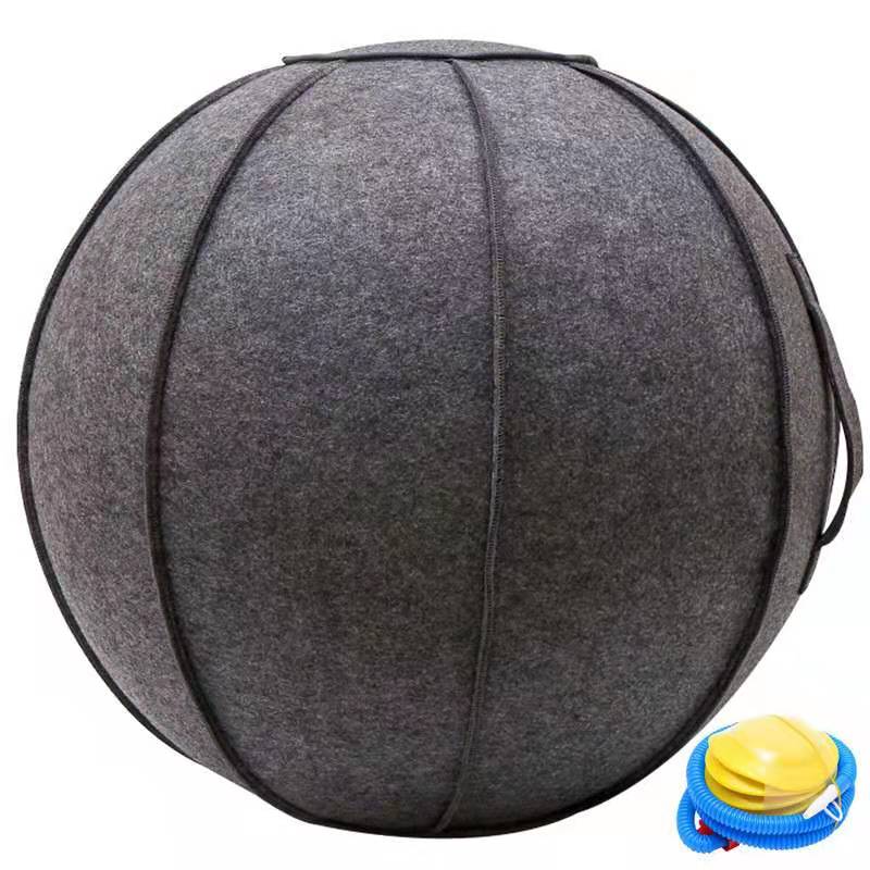 Pilates Yoga Sitting Ball Chair 2