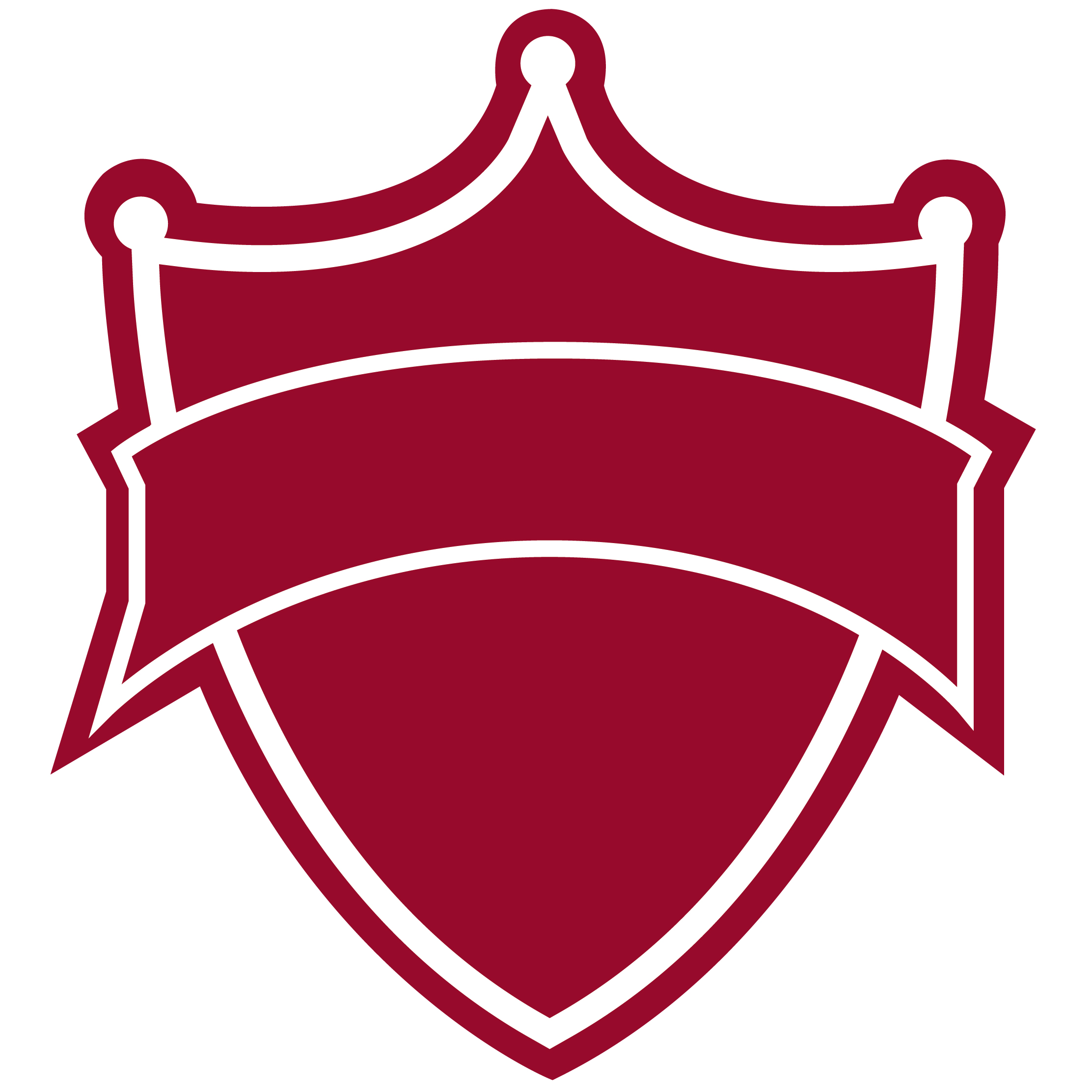 12" Shield Mitt 5