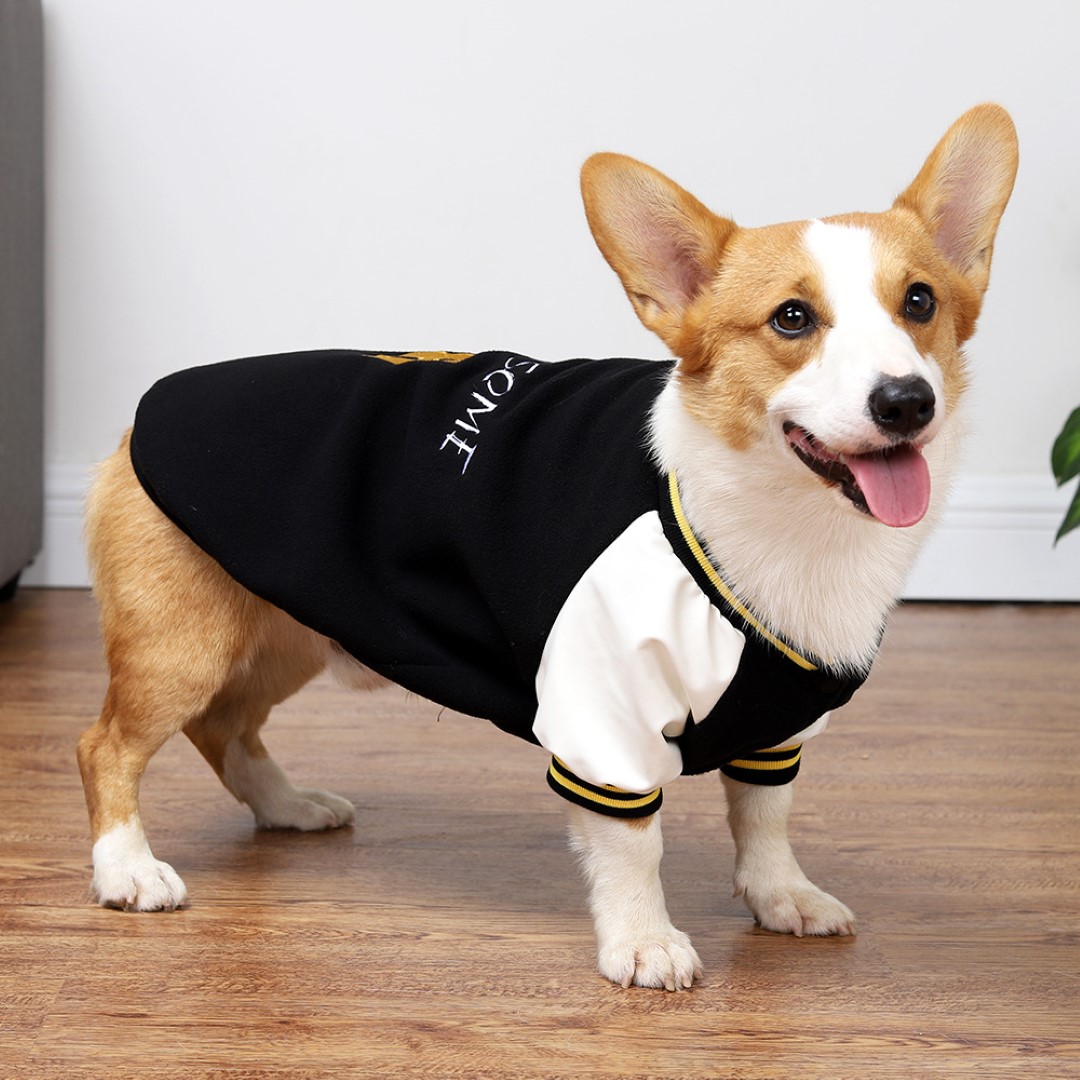 Pet Baseball Uniform 2