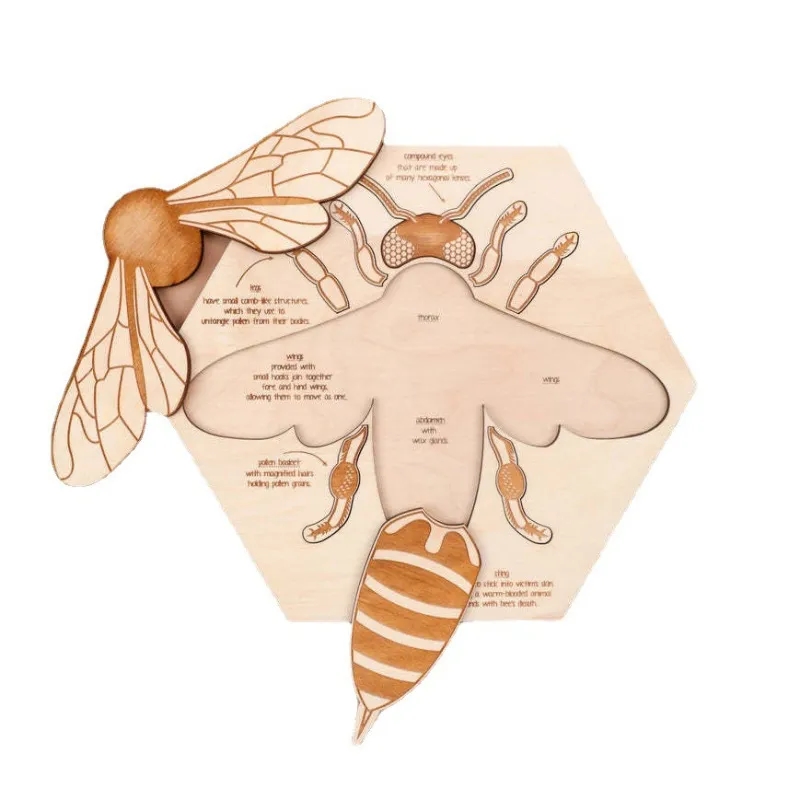 Bee Puzzle Educational Toy 10