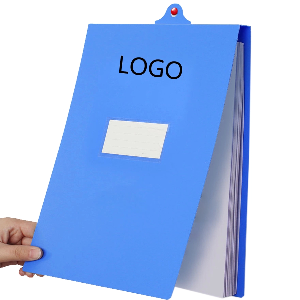 Vertical Hanging File Folder 3