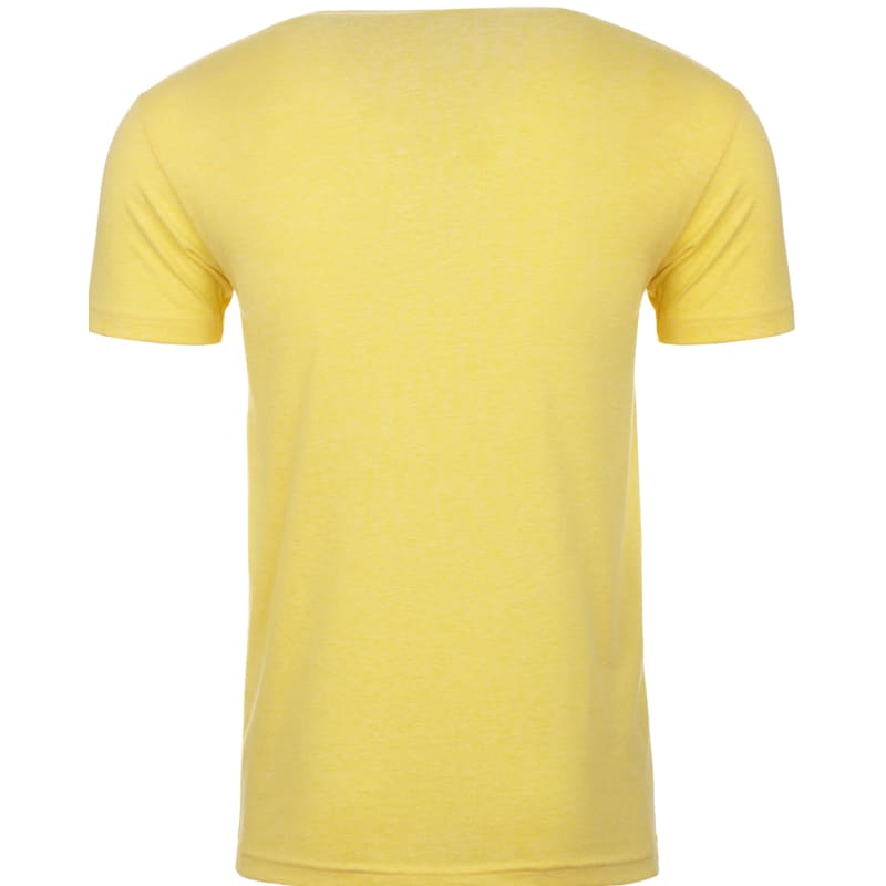 Next Level Mens CVC V 10