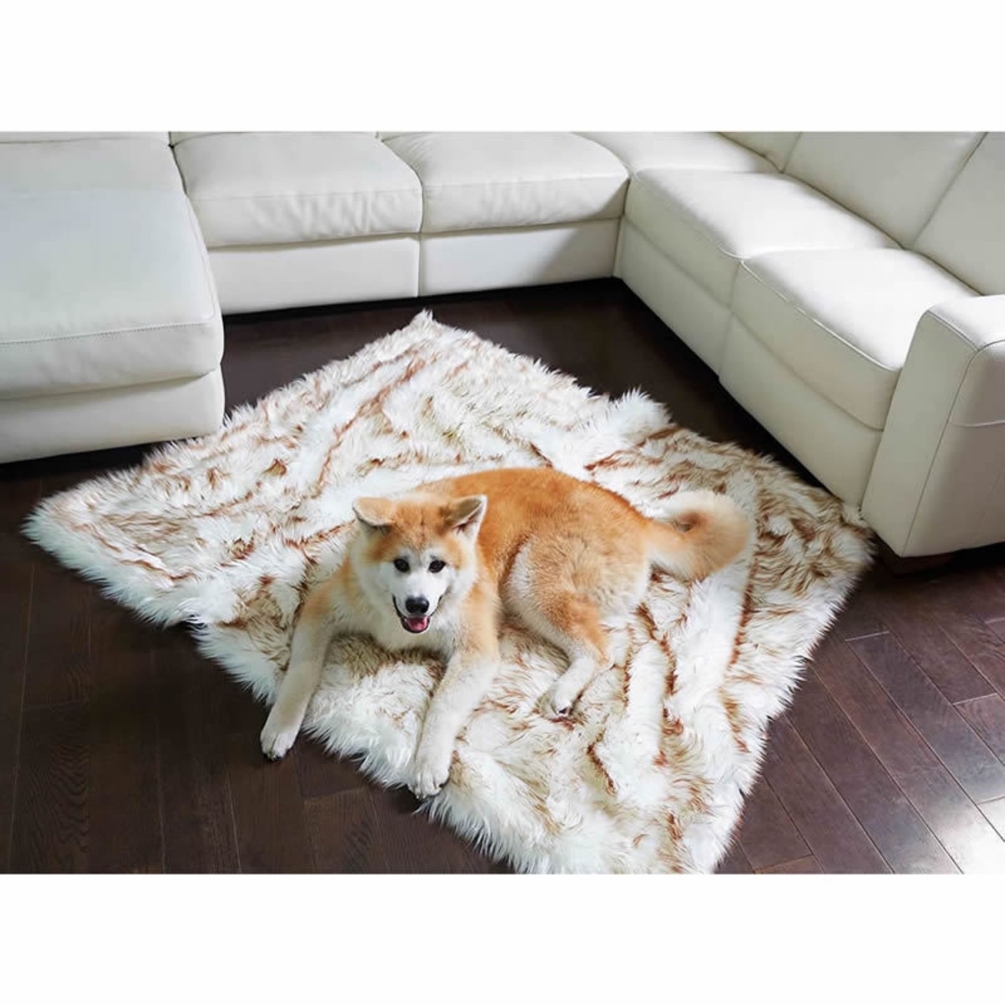 Shaggy Plush Dog Blanket 2