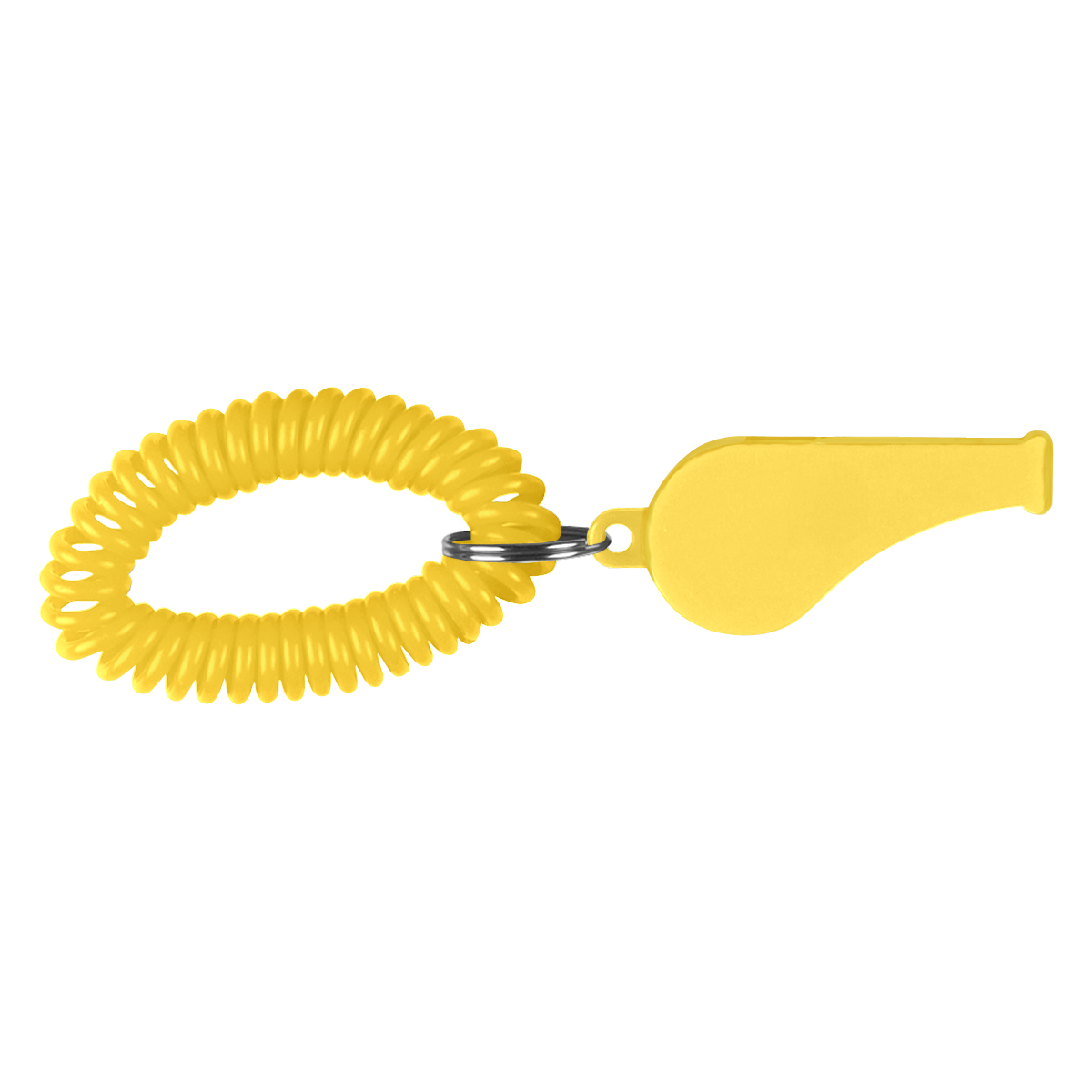 Whistle With Coil 3