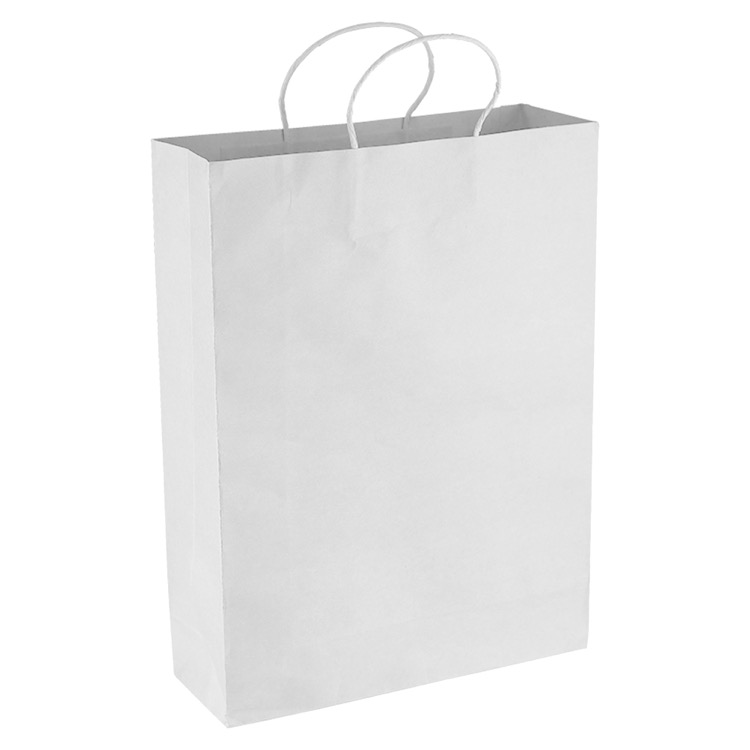 Paper Kraft Shopping Bag 5