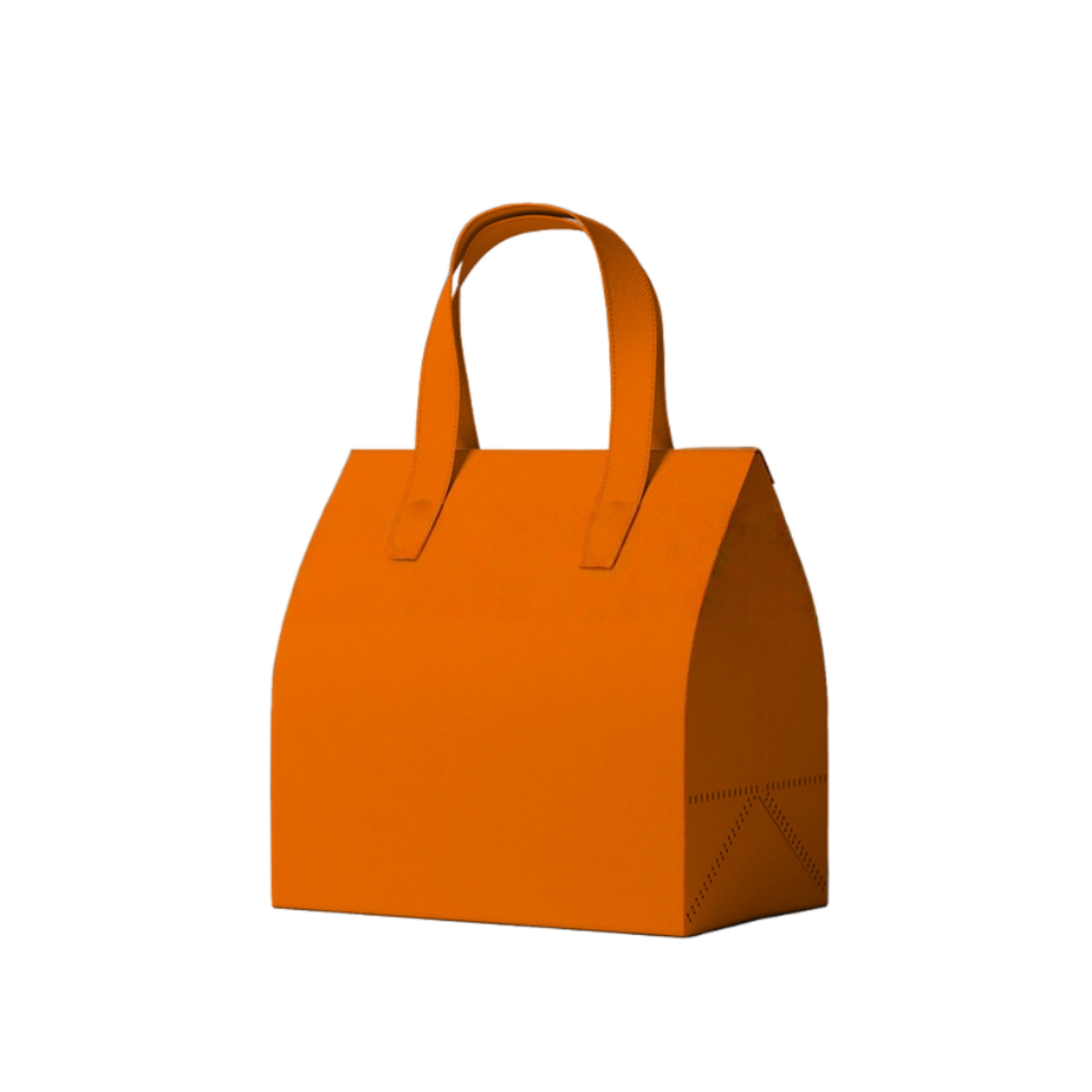 Insulated Take Away Bag 2