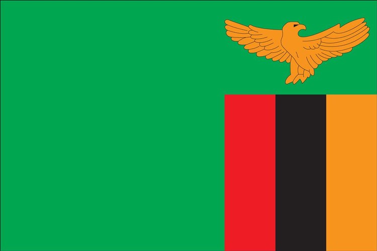Zambia Flag - 2' x 3' - Nylon 1