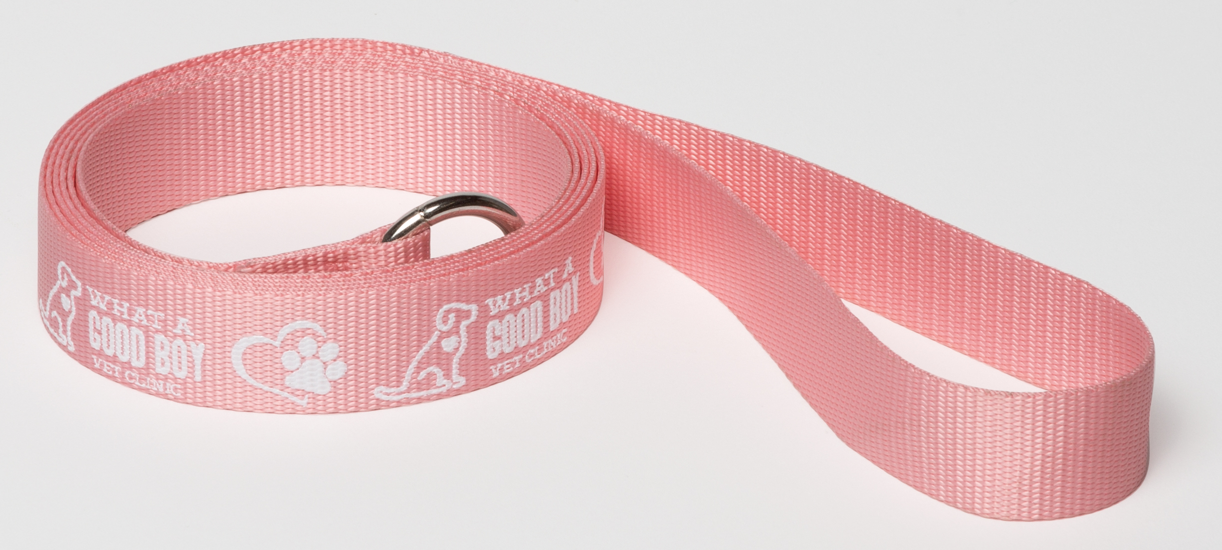 6' Pet Slip Leads 2-sided