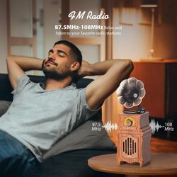SonicWave Vintage Classic Gramophone Bluetooth Speaker with USB, TF Card & FM Radio 15