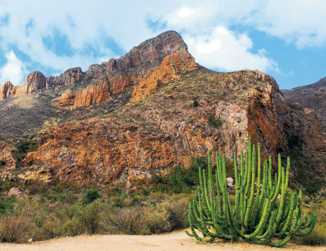 Good Value™ Mexico - Spiral Calendar 38