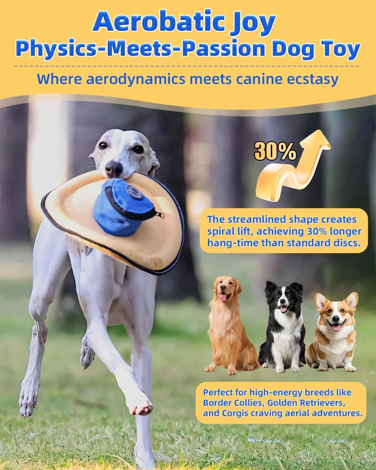 Hat Shape Flying Disc Dog Toy 3