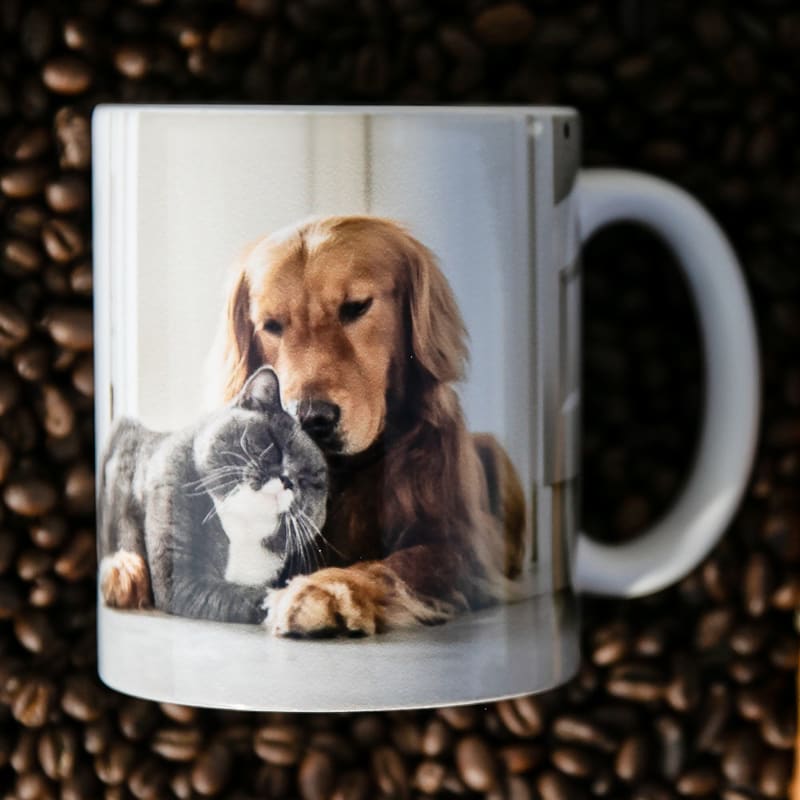 Full Color Photo Mugs 11oz 17