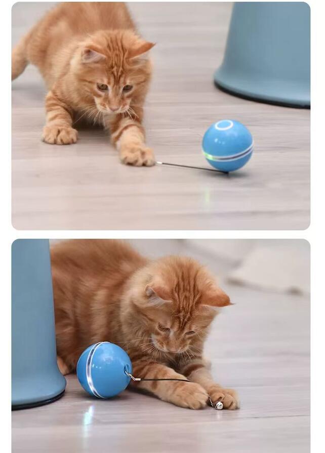 Interactive Cat Toys Ball With Led Light 4