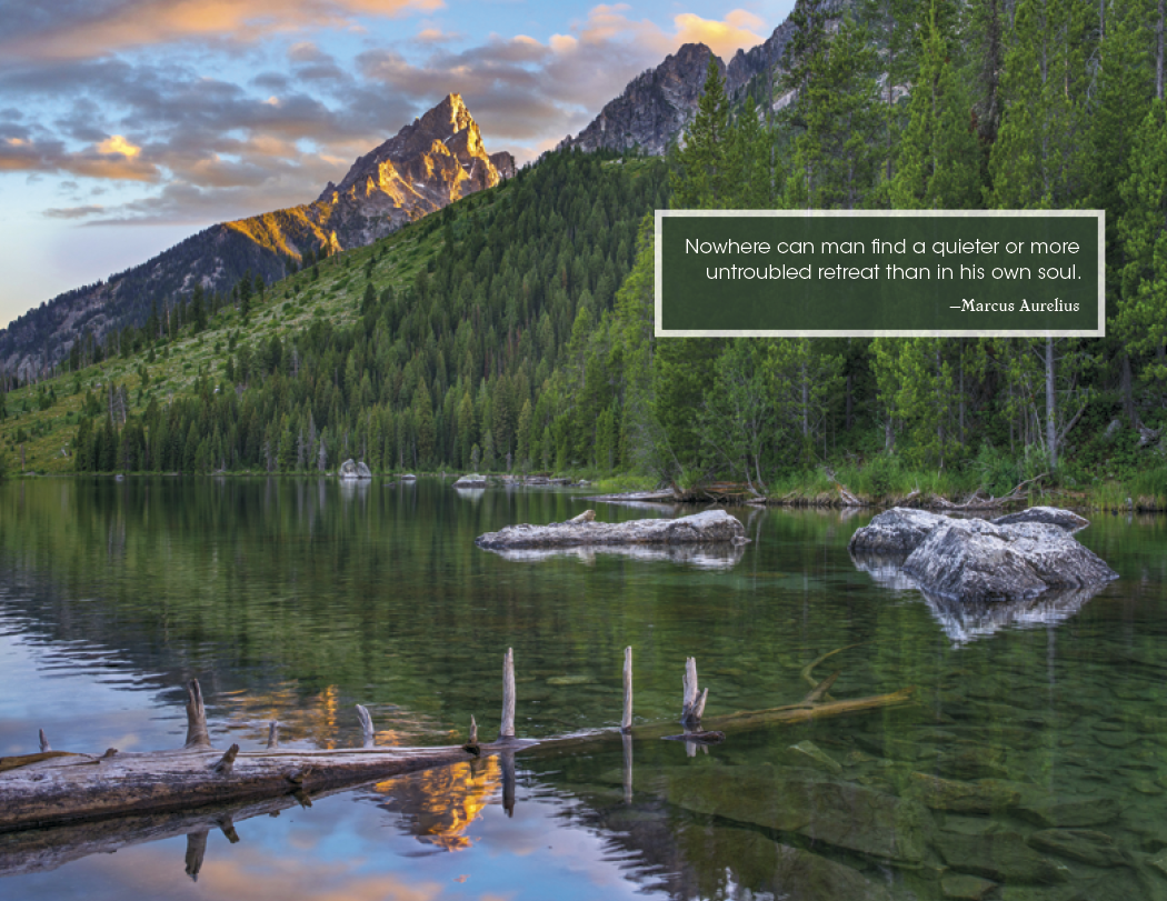 Good Value™ Inspirations for Life - Window Calendar 11