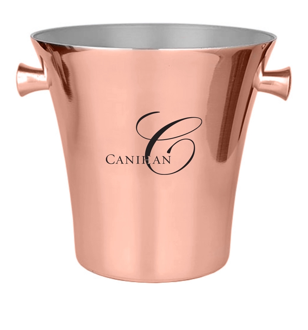 Elegant Metal Ice Bucket 5