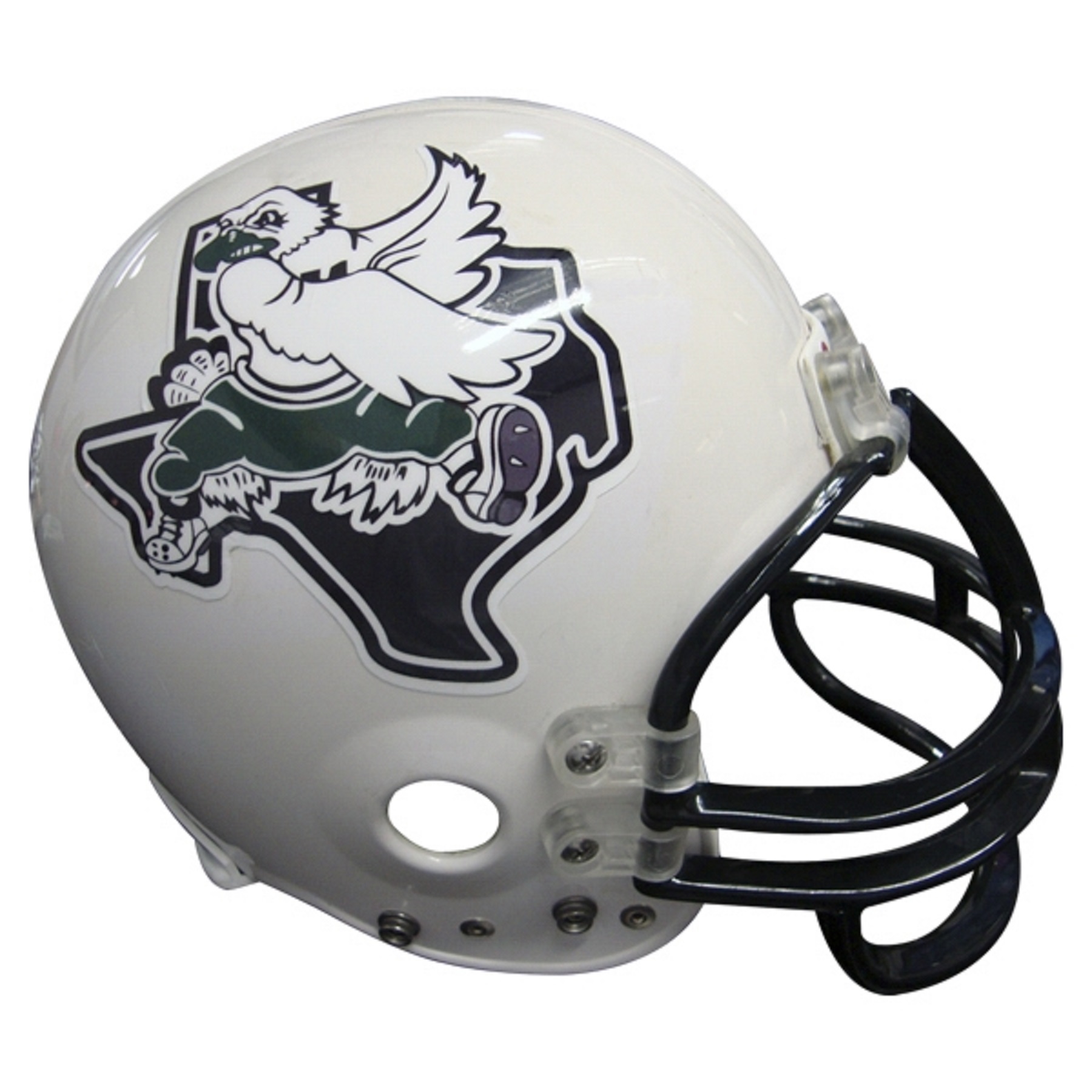 Helmet Side Decal
