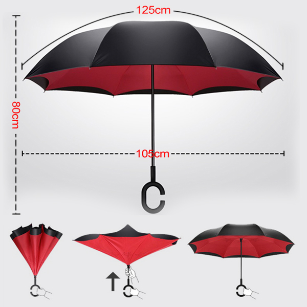 Umbrella 3