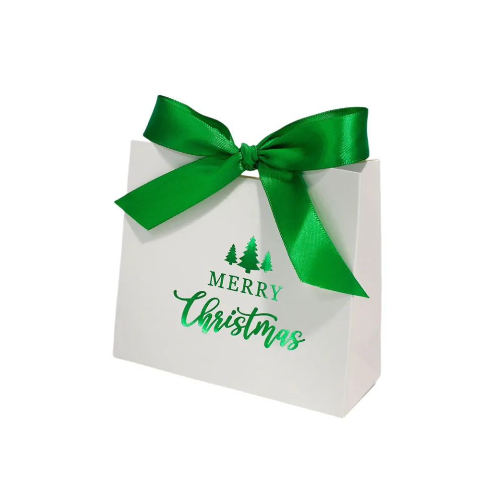Christmas Gift Paper Bags 2