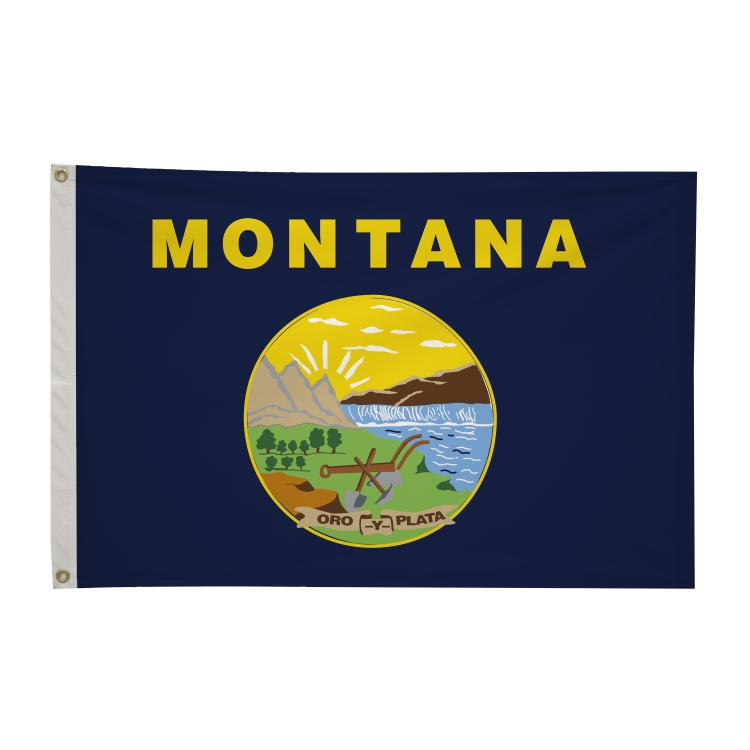 2' x 3' State Flags 12
