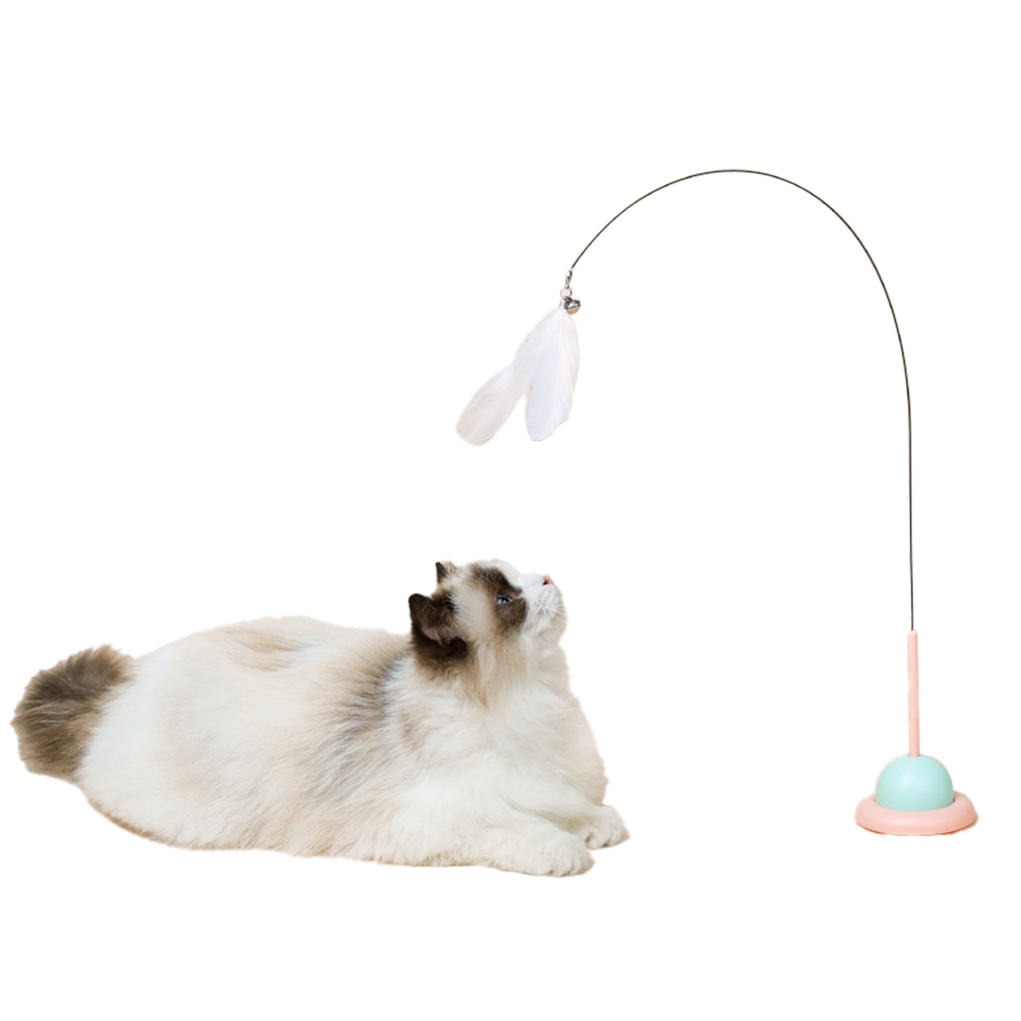 Suction Cup Wire Cat Teaser 7