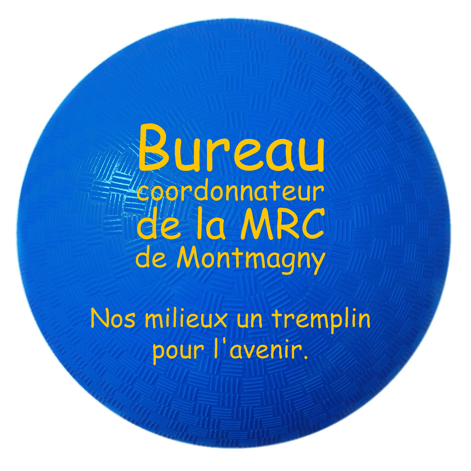 PMS Color Match Rubber 2-PLY 8.5" Playground Ball 2