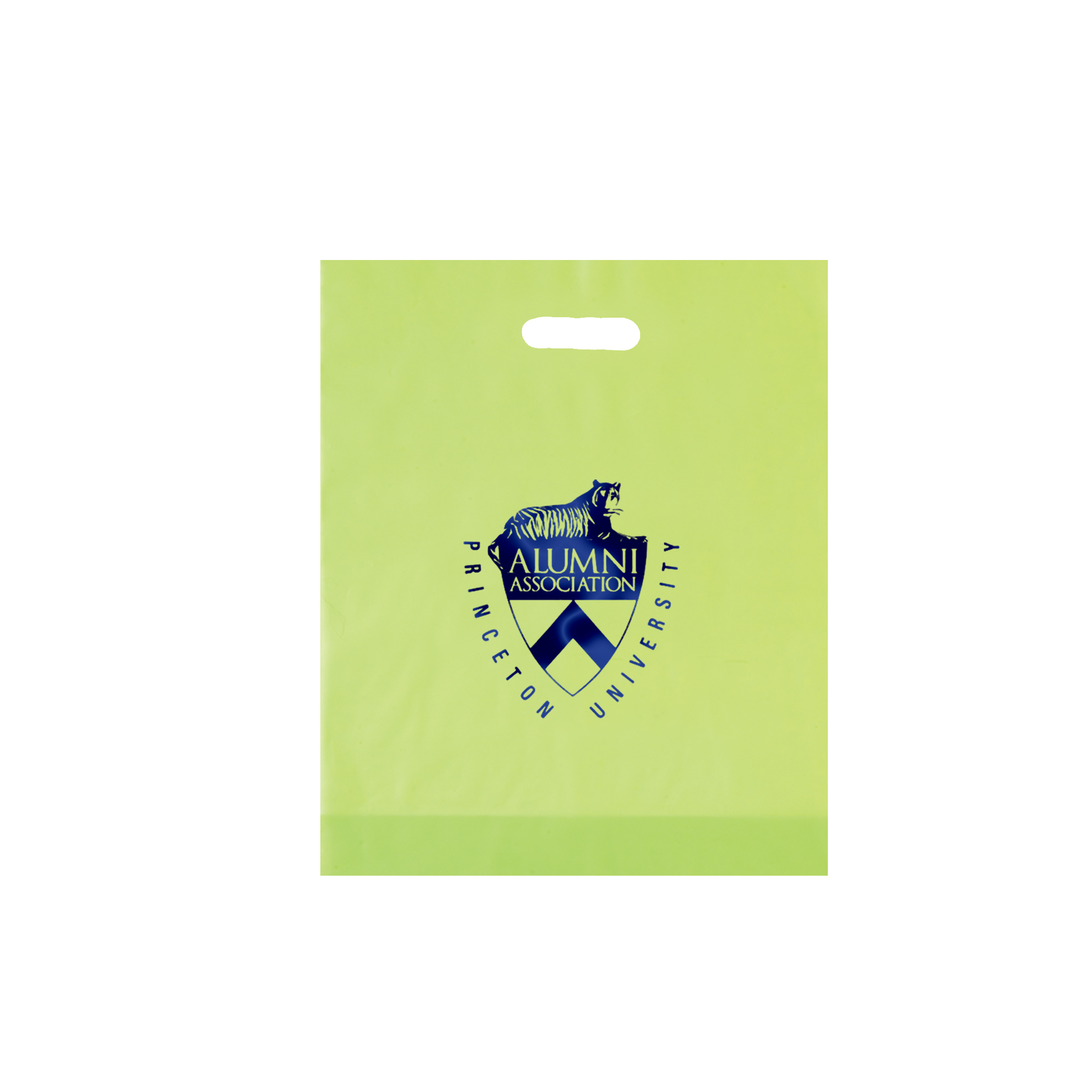 Non Reinforced HDPE Frosted Die Cut Bag 13