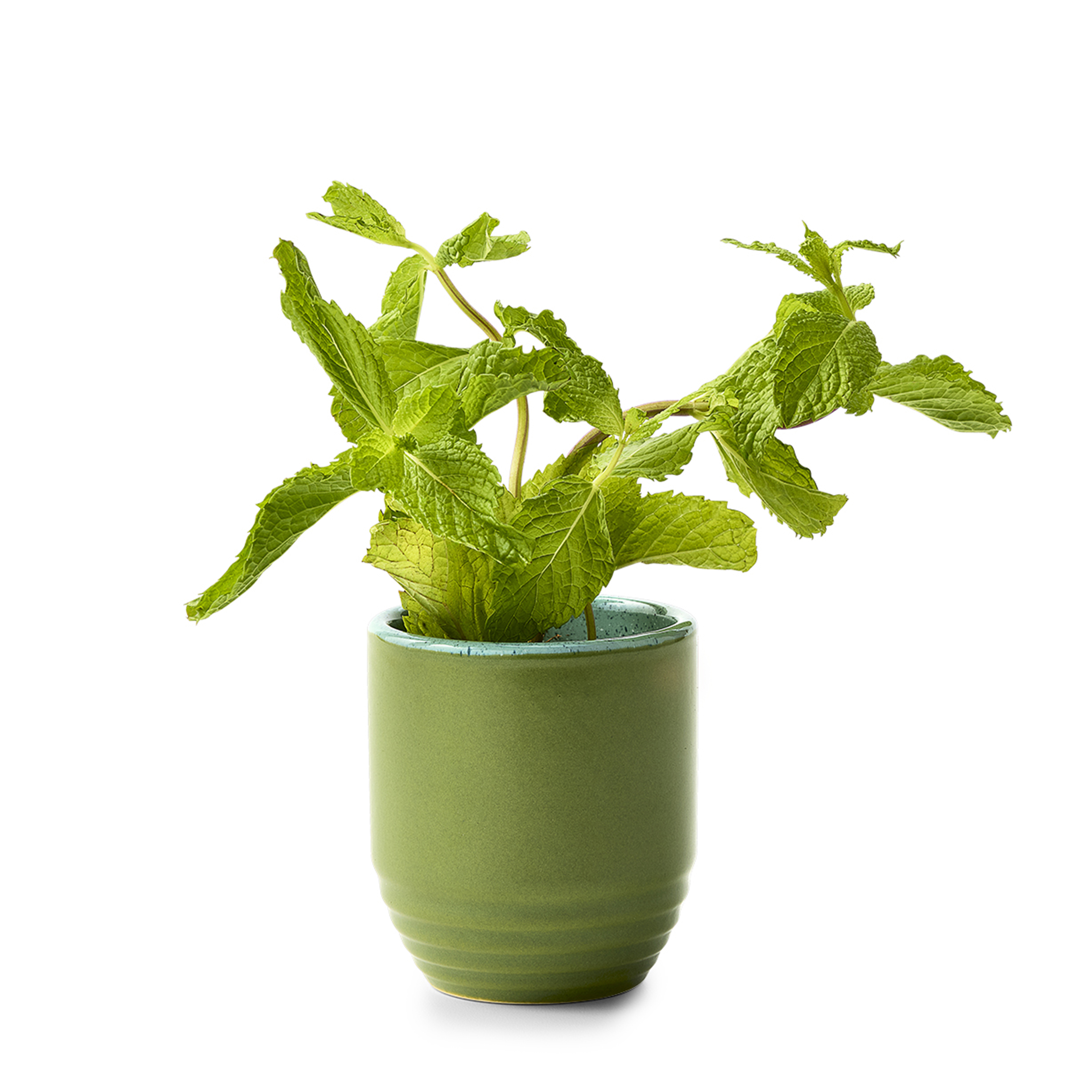 Modern Sprout® Garden Vibes Candle/Planter 47