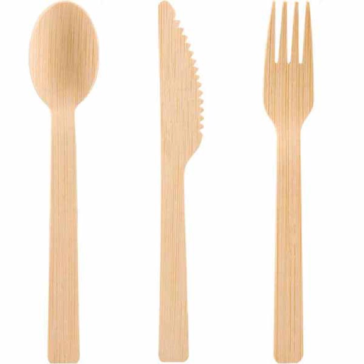 Wooden Disposable Tableware 2