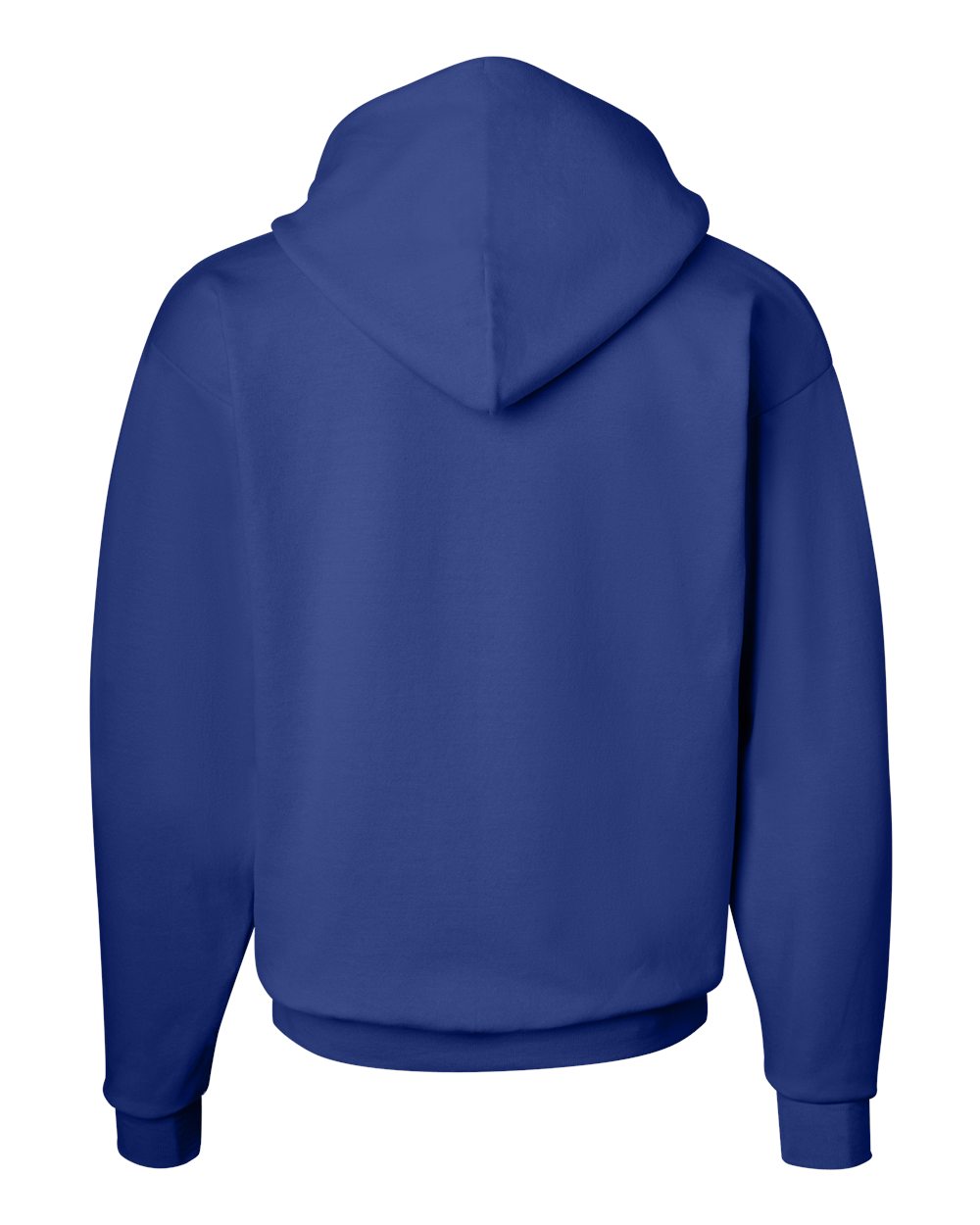 Unisex EcoSmart® Hooded Sweatshirt - P170 299