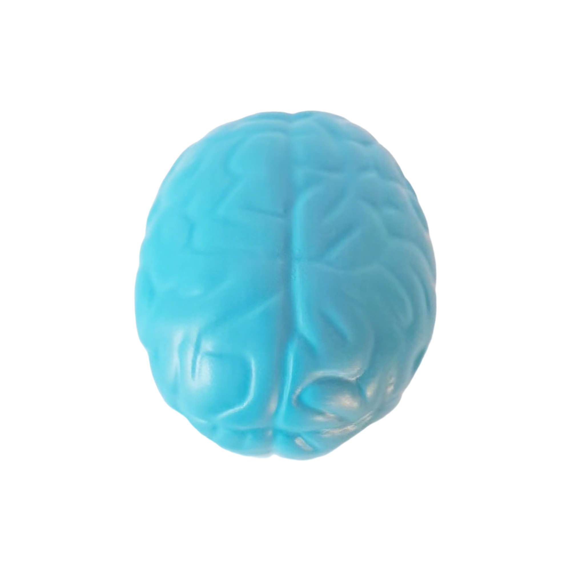 Brain Shape Foam Stress Reliever For Office And Education Use 8