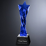 Twisted Star Award 6