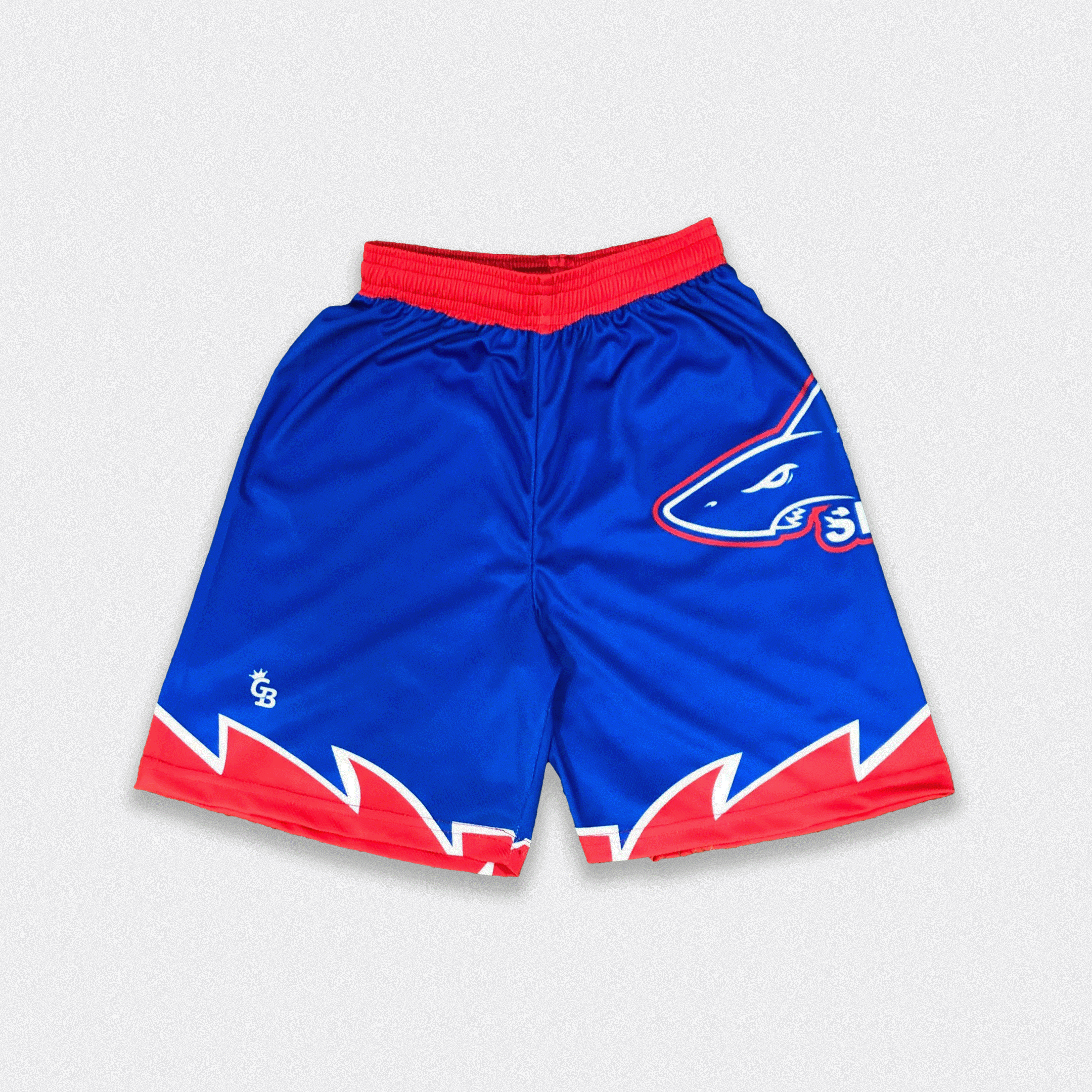 Basketball Shorts 3