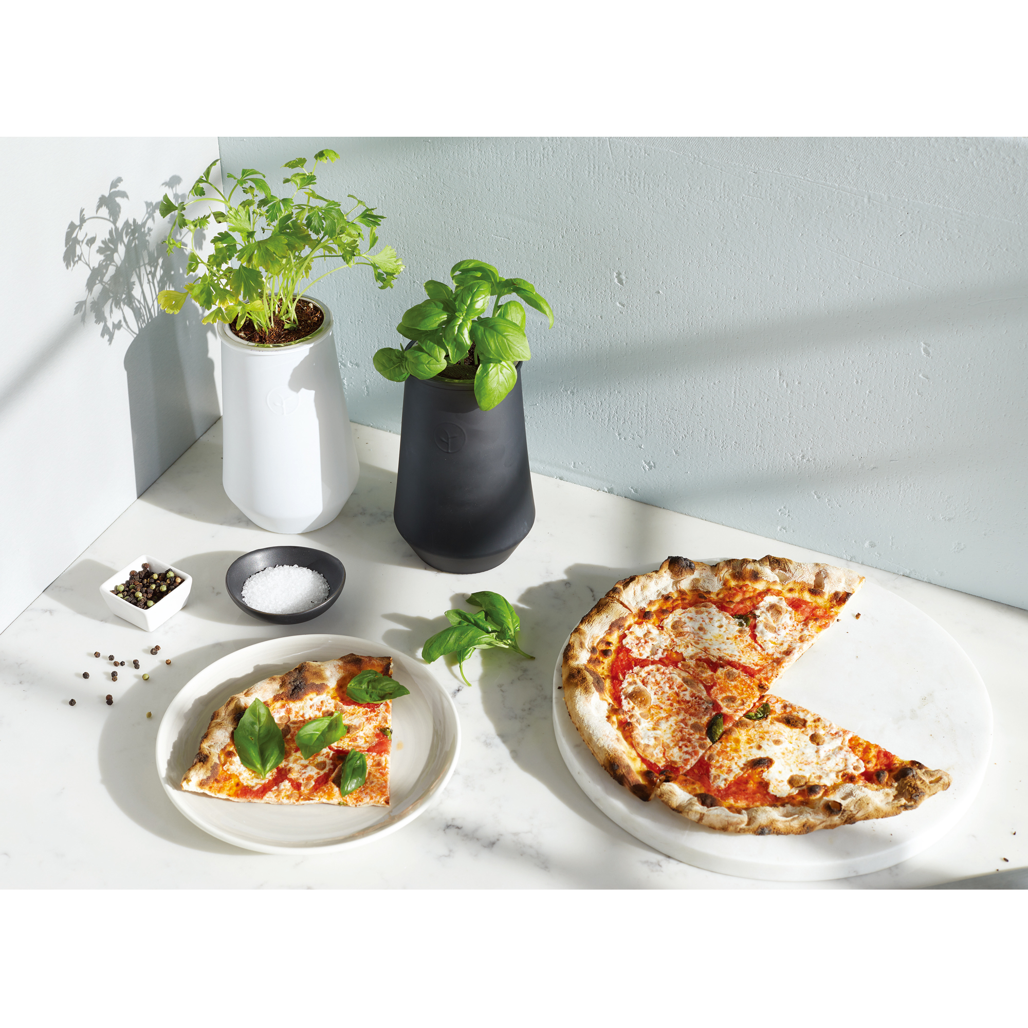 Modern Sprout® Tapered Tumbler Grow Kit 20